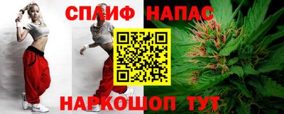 стаф Краснодар