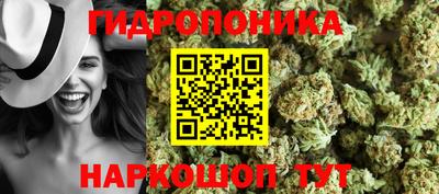 стаф Краснодар