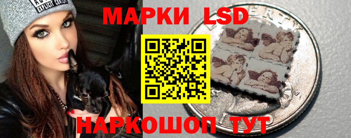 ЛСД экстази ecstasy  Вход с VPN  ЛСД экстази кислота  ЛСД экстази  omg рабочий сайт  Черногорск 