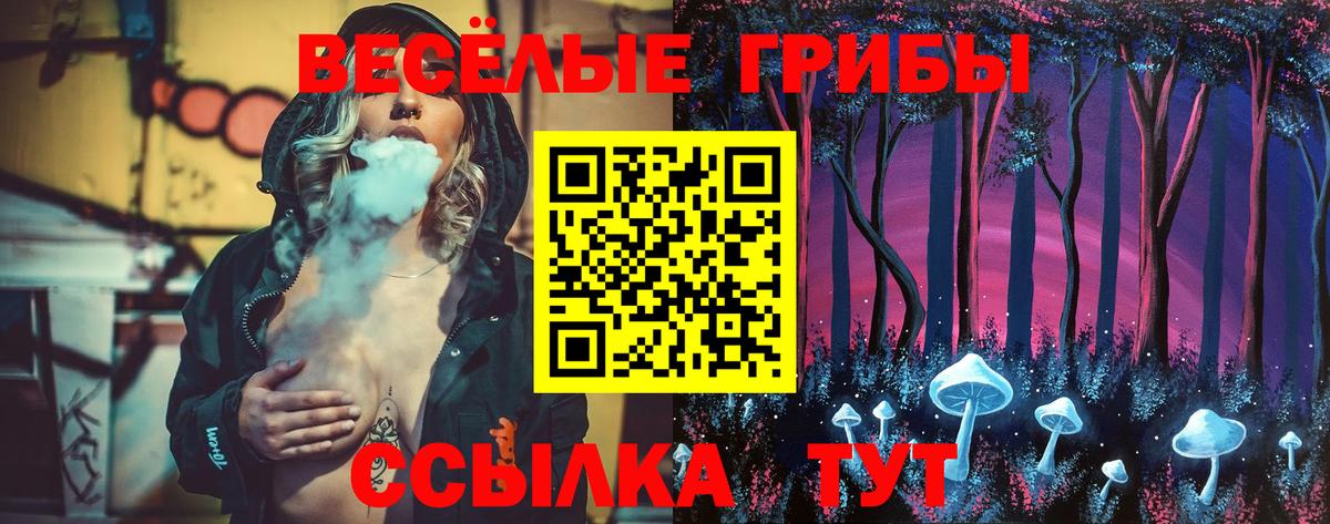 Галлюциногенные грибы MAGIC MUSHROOMS Черногорск